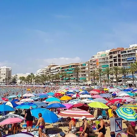 Gregorio * Torrevieja